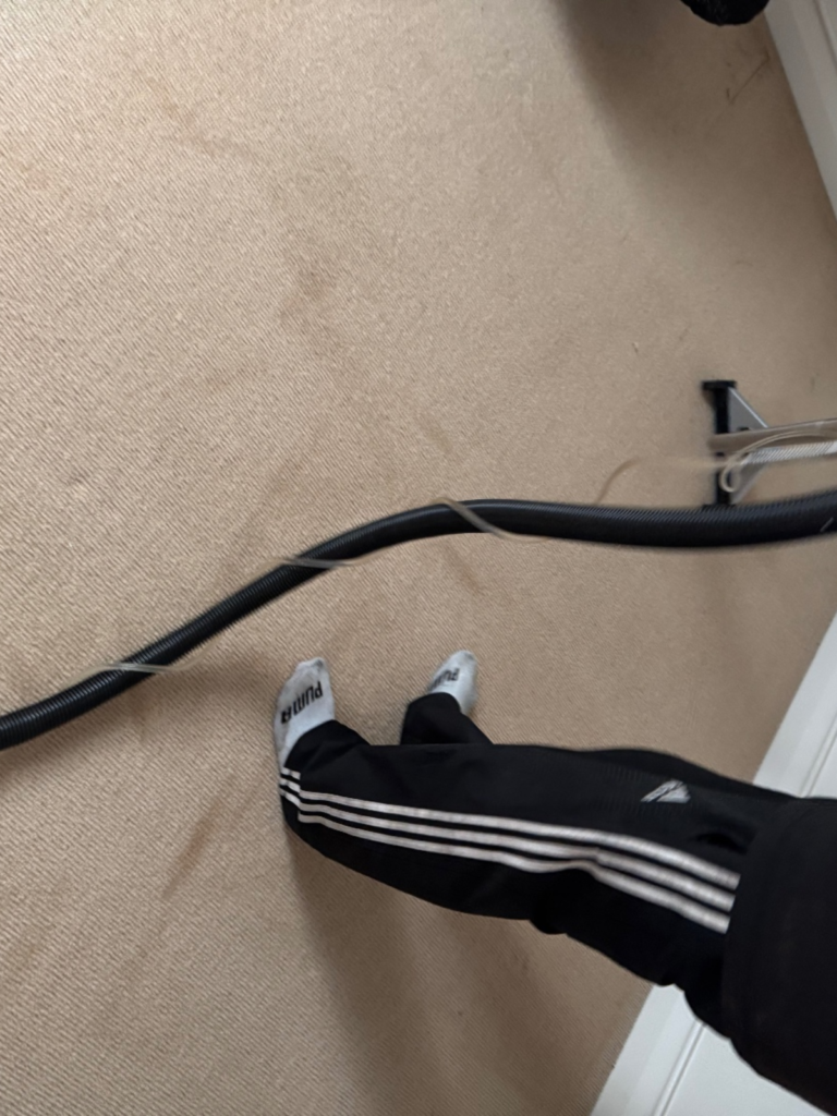 Untitled design (87)